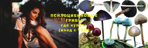 МДПВ Абаза