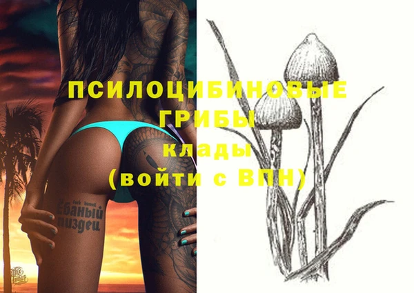 МДПВ Абаза